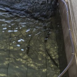 Heller's Fischerstüberl