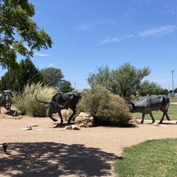 Bronze steer exhibit in front