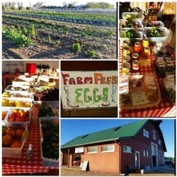 Grandma's Farm - Grandma's Farm