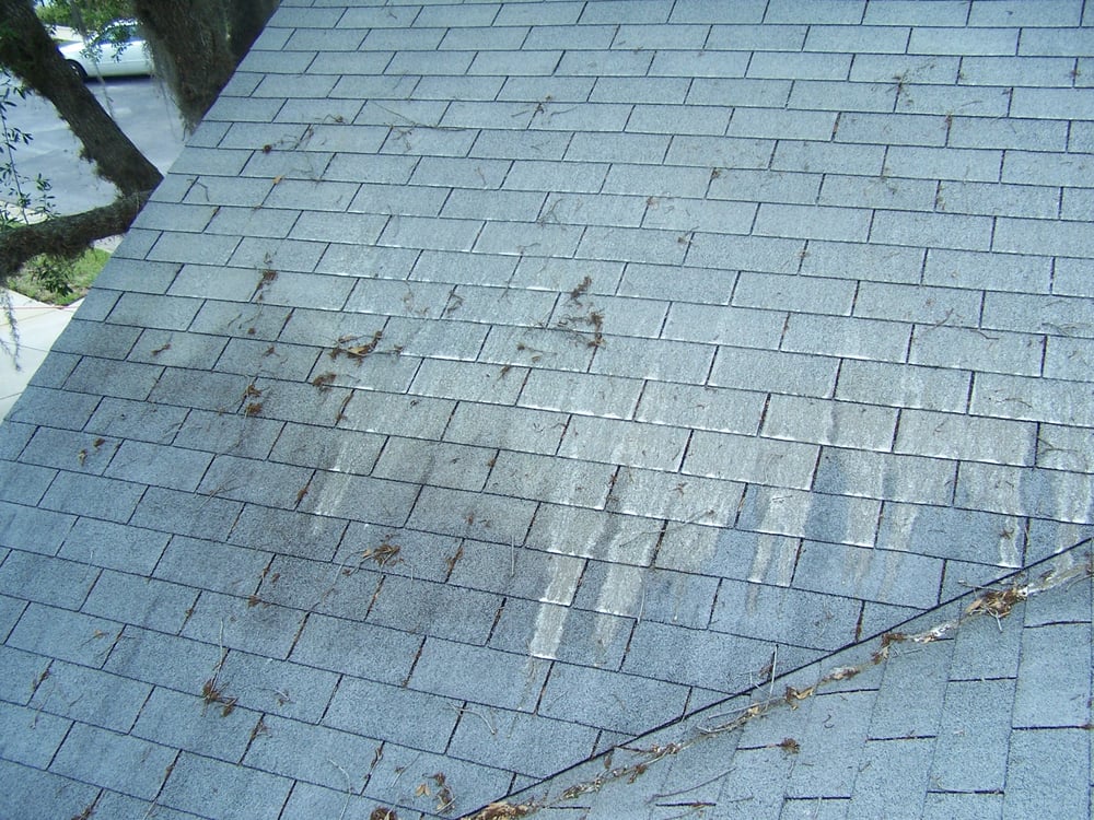 Slide of Bay Area Roof Cleaning