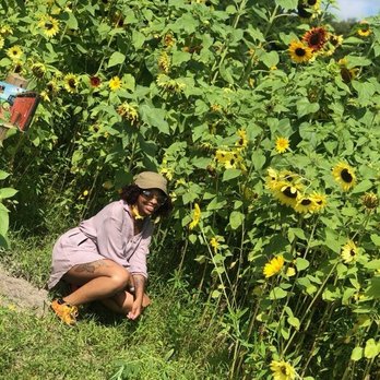 HarvestMoon Fun Farm - Attraction Farms Near Me - Masaryktown, Florida