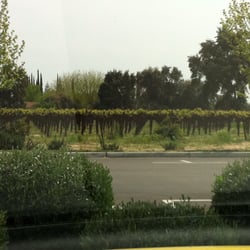 Gallo E & J Maze Ranches - View of the property from St. Stan's.