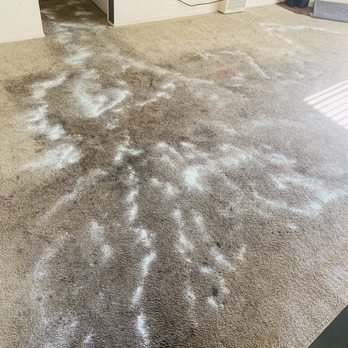 Alex Carpet Cleaning - This is how or carpet looked before! - Carpet Cleaning Near Me