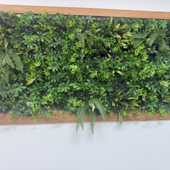 Happy Tea - Green wall art - Bubble Tea Near Me - Bakersfield, California