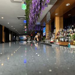 Minny's Bar & Grill - Don't drink and drive. You might spill your drink!