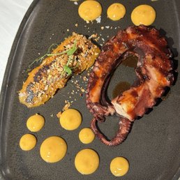 Octopus Octopus