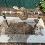 Photo of Precision Backflow Testing & Repairs