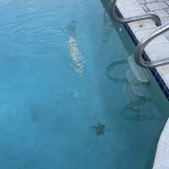 The Pool Butler - Photo of pool bottom after service tech "cleaned" my pool. Beware of this company! - General Contractors Near Me - Lake Worth, Florida The Pool Butler - Photo of pool bottom after service tech "cleaned" my pool. Beware of this company! - General Contractors Near Me - Lake Worth, Florida