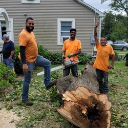 Traditional Tree Service