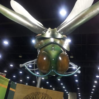 Funk Lawn Care - a close up of a metal insect - Tree Services Near Me - Tonawanda, New York Funk Lawn Care - a close up of a metal insect - Tree Services Near Me - Tonawanda, New York
