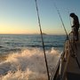 Photo of Hog Heaven Sport Fishing