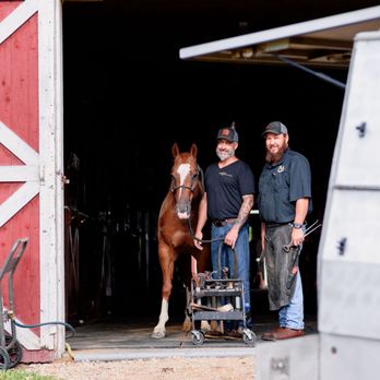Rinaldo Horseshoeing - Farriers Near Me - Harvard, Illinois