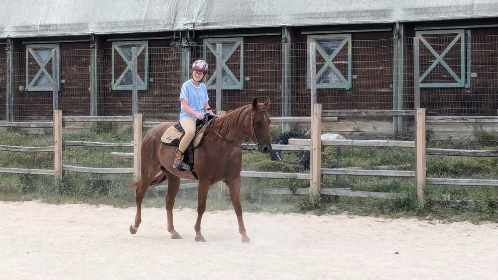Castlewood Stables - equestrian in Ballwin, MO