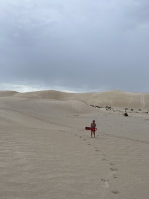Lancelin Sand Dunes by null