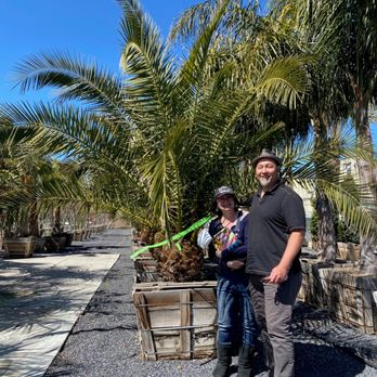 Moon Valley Nurseries - This is us with our Canary Palm we tagged to have delivered and planted. - Nurseries & Gardening Near Me - Santa Rosa, California Moon Valley Nurseries - This is us with our Canary Palm we tagged to have delivered and planted. - Nurseries & Gardening Near Me - Santa Rosa, California