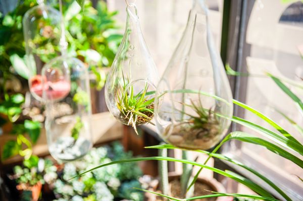 Sea Of Green 1828 E University Dr Tempe Az Hydroponics Equipment Supplies Mapquest