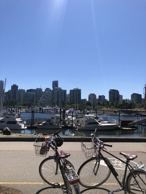 Cycle City Tours And Bike Rentals by null