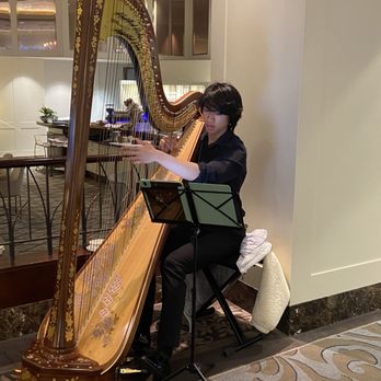 Cordis, Auckland - Playing the harp - Hotels Near Me - Auckland, AUK