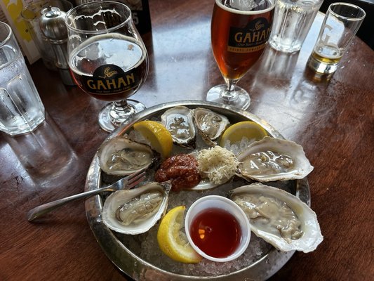 The Gahan House by null