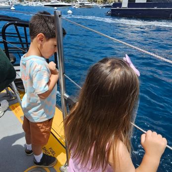 Catalina Adventure Tours - Tours Near Me - Avalon, California