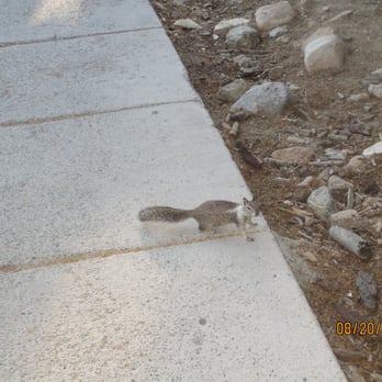 Mount San Jacinto State Park - Don't feed the wildlife... - Parks Near Me - Idyllwild, California