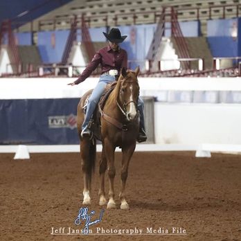Lia's Equine Training - western dressage world show 2022 - Horseback Riding Near Me Lia's Equine Training - western dressage world show 2022 - Horseback Riding Near Me