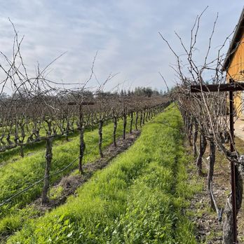St Jorge Winery - Wineries Near Me - Acampo, California