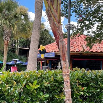 DoubleTree by Hilton - Hotels Near Me - Orlando, Florida