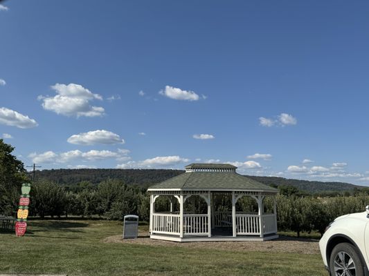 Marker-Miller Orchards by null