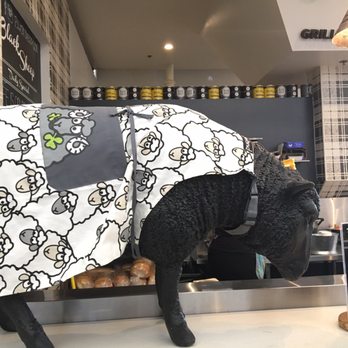 Black Sheep GCB - Sandwiches Near Me - Anaheim, California