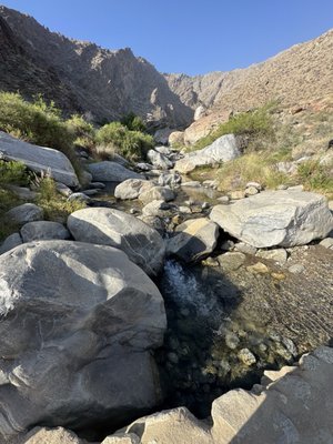 Tahquitz Canyon by null