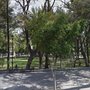 Photo of Parque Alameda Central