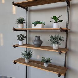 7 Leaves Cafe - Plants by the wall