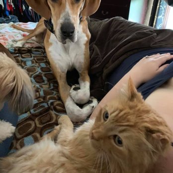 Betterment Pet Care - Pet Boarding Near Me - Reedsville, Wisconsin Betterment Pet Care - Pet Boarding Near Me - Reedsville, Wisconsin