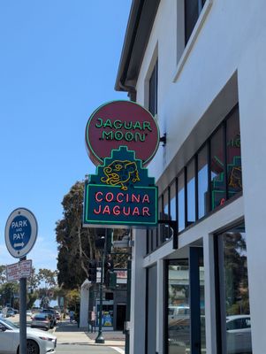 Jaguar Moon by null