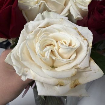 Lex&Roses - Florists Near Me - North Miami, Florida