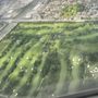 Oakdale Golf & Country Club