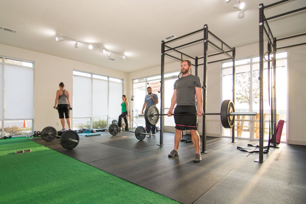 TrainLifeFit Logo