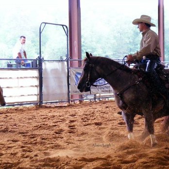 Jesse Chase Performance Horses - Leave It To Me Mate and Jesse Chase boxing - Horseback Riding Near Me - Wendell, North Carolina