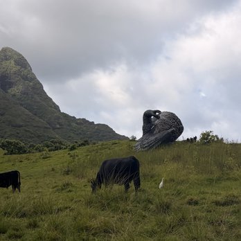 Kualoa Ranch - Tours Near Me - Kaneohe, Hawaii Kualoa Ranch - Tours Near Me - Kaneohe, Hawaii