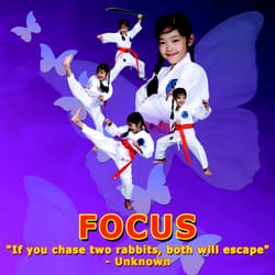 Integrity Martial Arts Llc