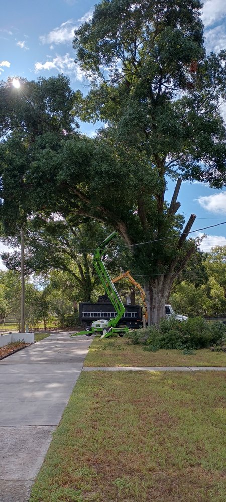 Slide of Pecker Heads Tree & Environmental