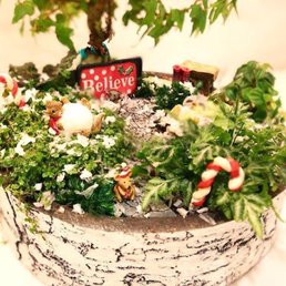 The re-assembled miniature garden!