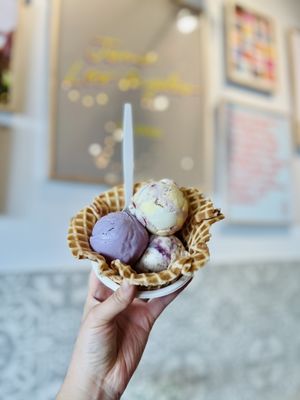 Jeni's Splendid Ice Creams by null