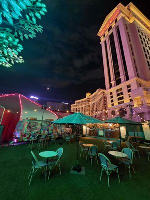 No Pants by null No Pants by null