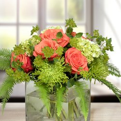 Adrian Durban Florist - Adrian Durban Florists - Cincinnati's Best Florist!