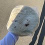 Photo of Tortillas de Harina