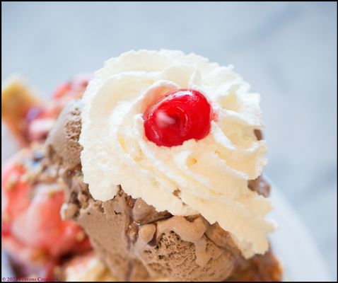 Fentons Creamery by null