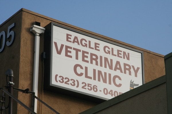 glen veterinary clinic