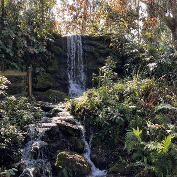 Rainbow Springs State Park - Waterfall. - Parks Near Me - Dunnellon, Florida Rainbow Springs State Park - Waterfall. - Parks Near Me - Dunnellon, Florida